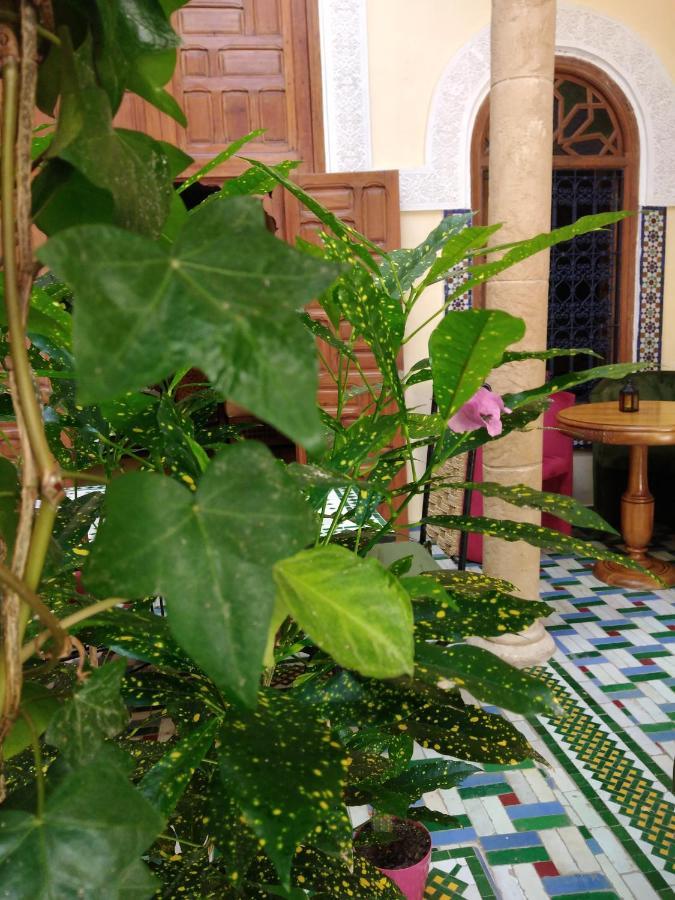 Riad Dar Zouhour Hotel Rabat Exterior photo